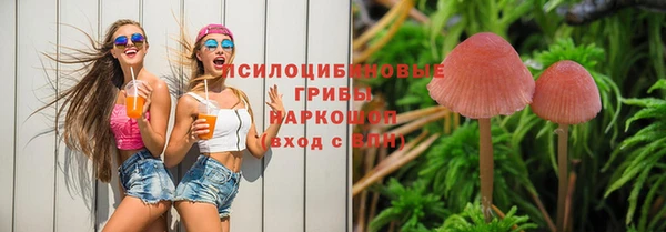2c-b Аркадак