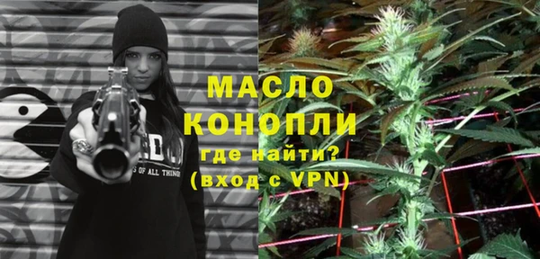 дмт Богородск