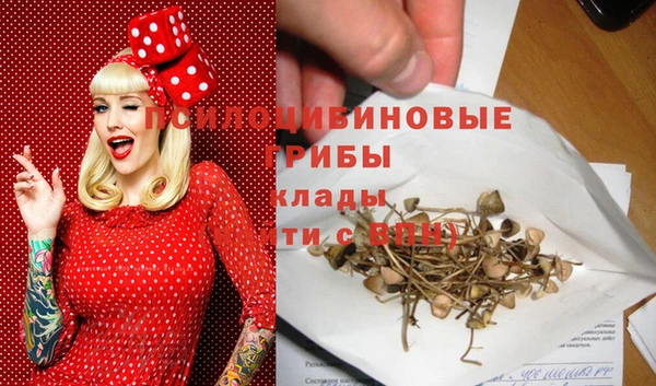 дмт Богородск